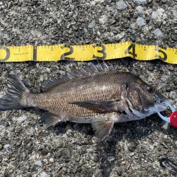 ダメ元で行ったら・・・